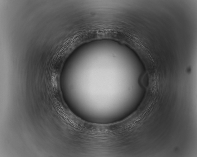 X0000116580770200912101539