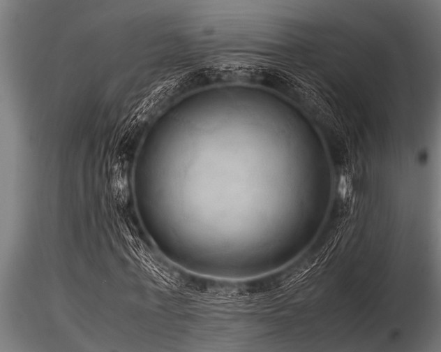 X0000116580771200912101539