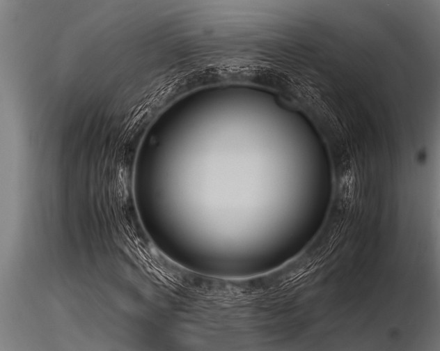 X0000116580772200912101539