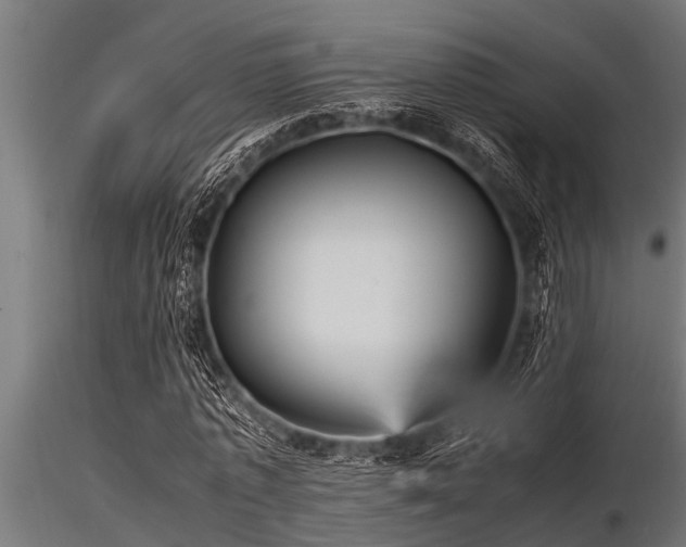 X0000116580773200912101539