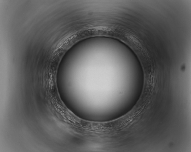 X0000116580774200912101539