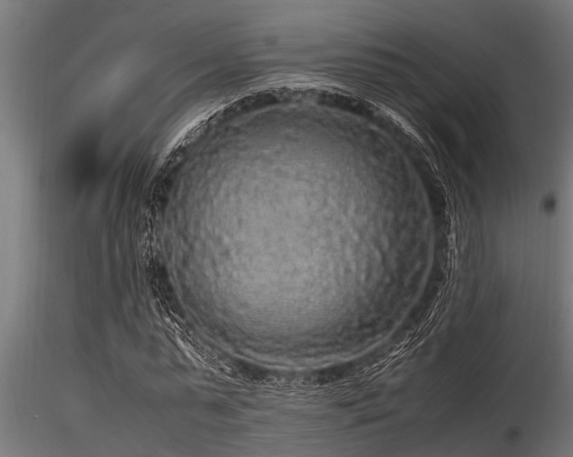 X0000116580775200912101539