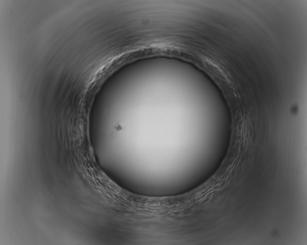 X0000116580776200912101539