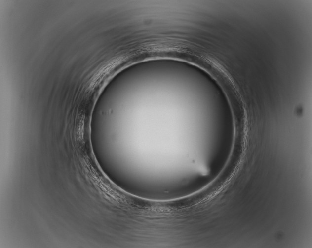 X0000116580777200912101539