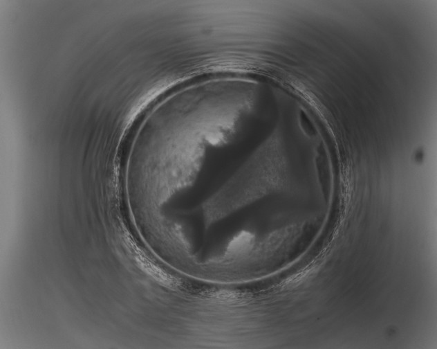 X0000116580779200912101539