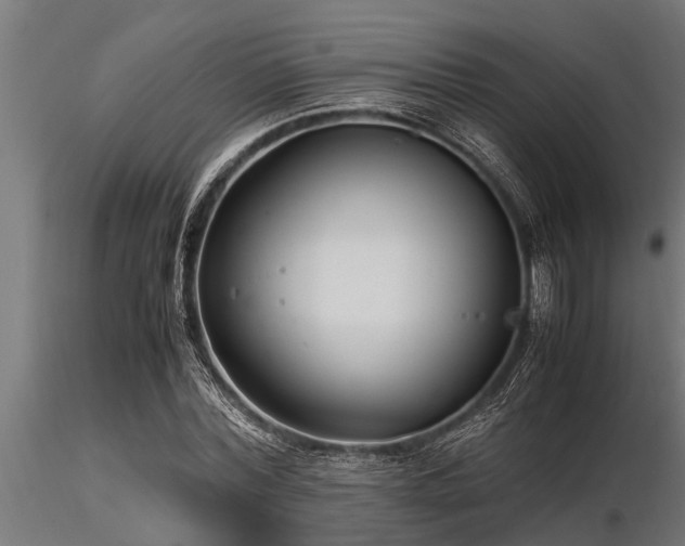 X0000116580780200912101539