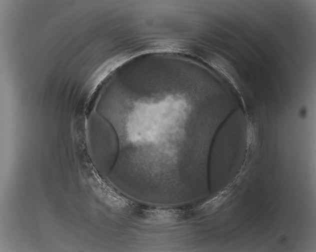 X0000116580781200912101539