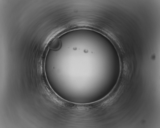 X0000116580782200912101539