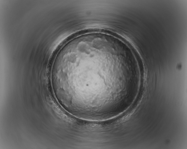 X0000116580783200912101539