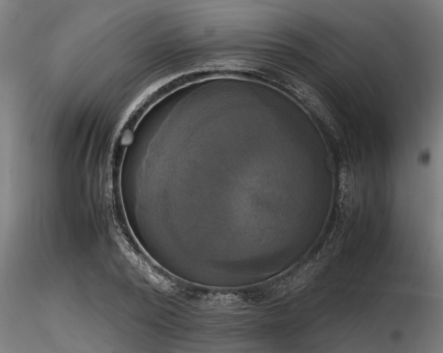 X0000116580784200912101539