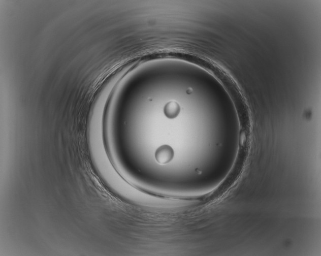 X0000116580785200912101539