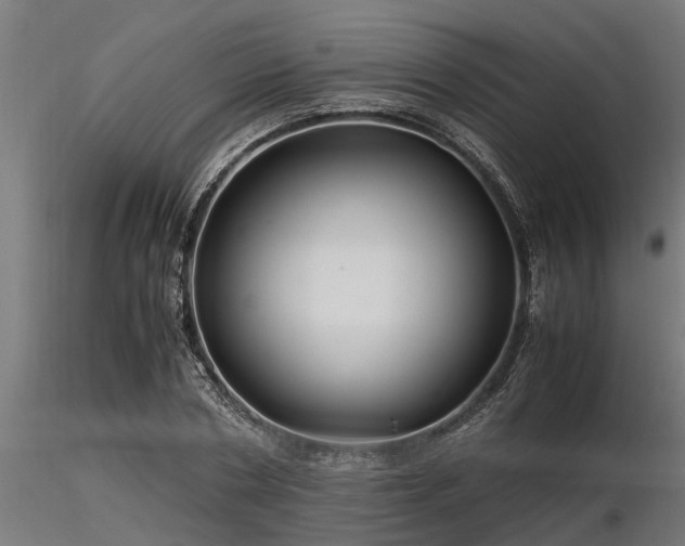 X0000116580786200912101539