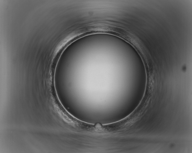 X0000116580787200912101539