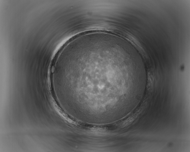 X0000116580788200912101539