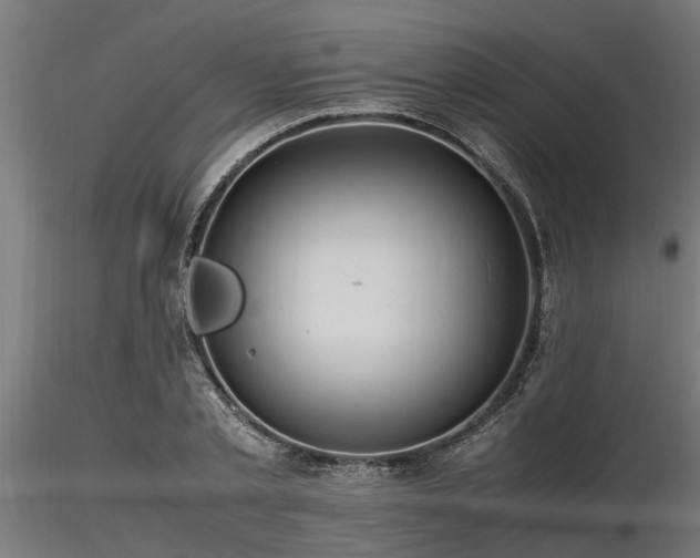 X0000116580789200912101539