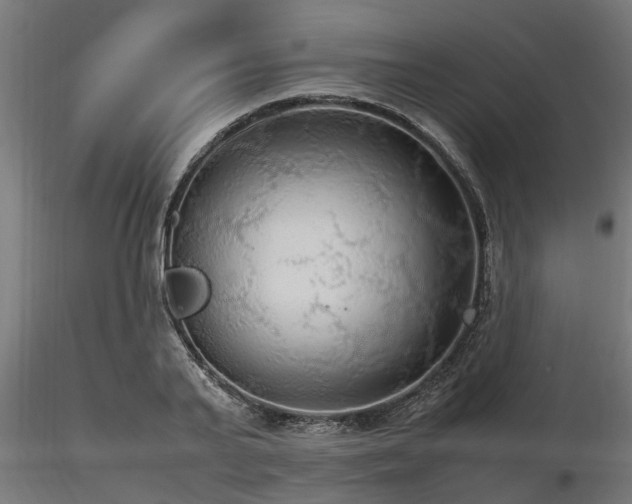 X0000116580791200912101539