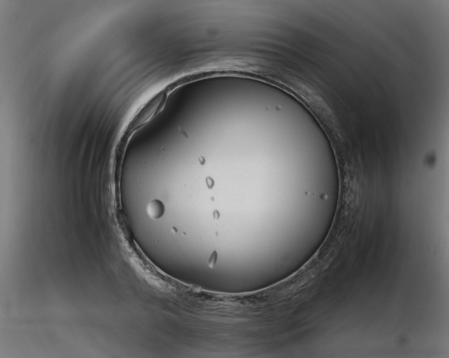 X0000116580792200912101539