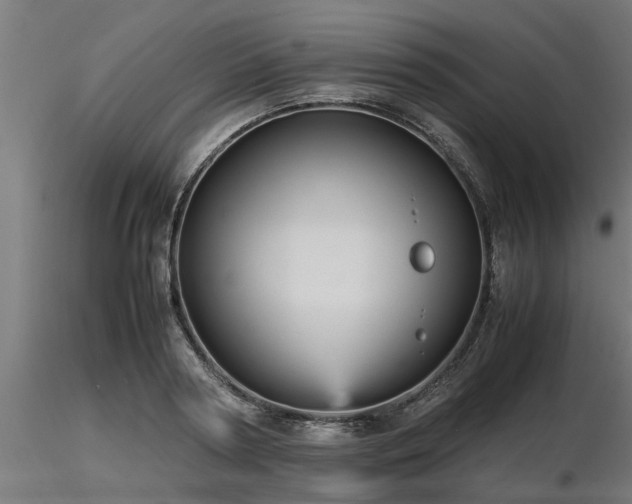 X0000116580794200912101539