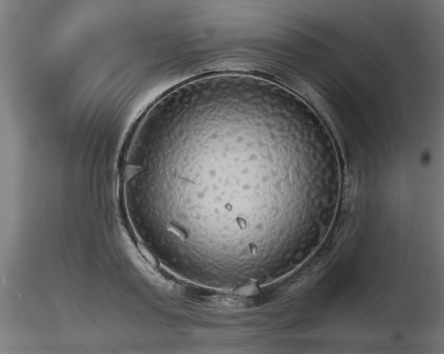 X0000116580795200912101539