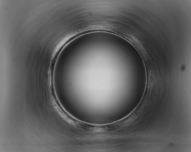 X0000116580796200912101539