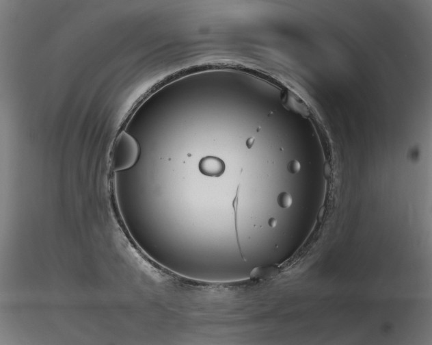 X0000116580799200912101539