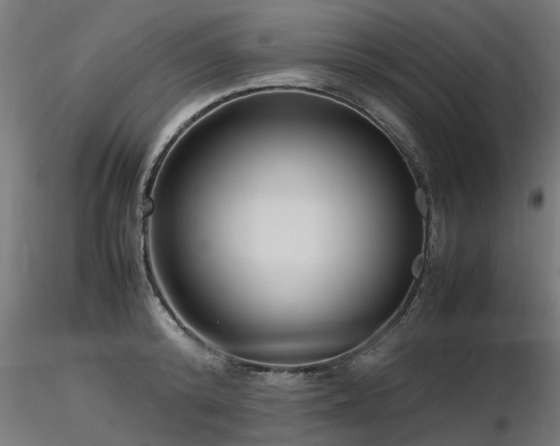 X0000116580800200912101539