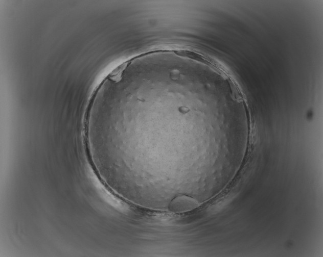 X0000116580803200912101539