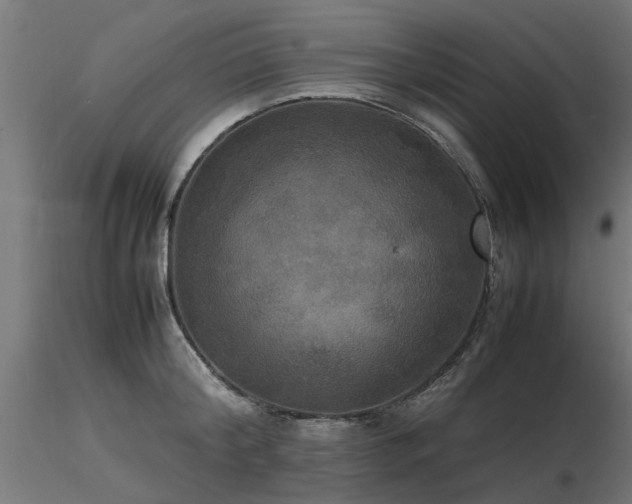 X0000116580804200912101539