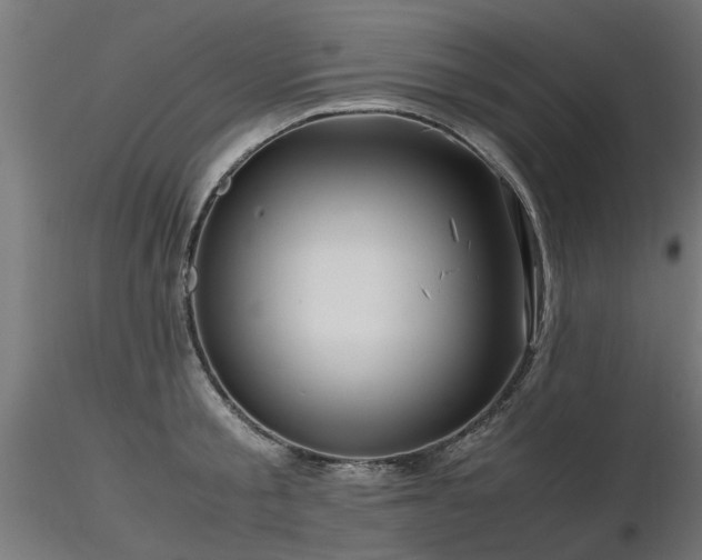 X0000116580805200912101539