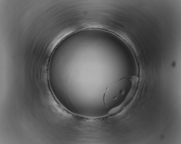 X0000116580806200912101539