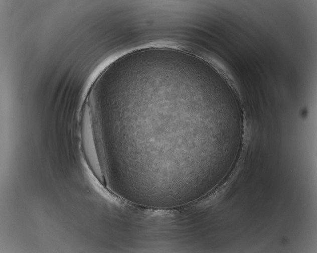 X0000116580808200912101539