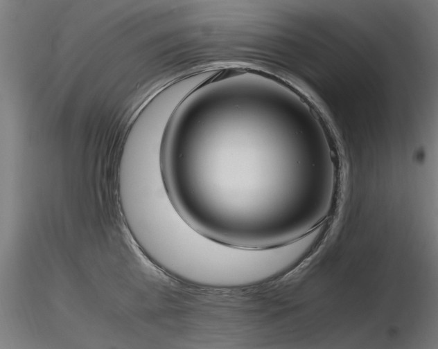 X0000116580809200912101539