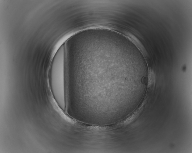 X0000116580812200912101539