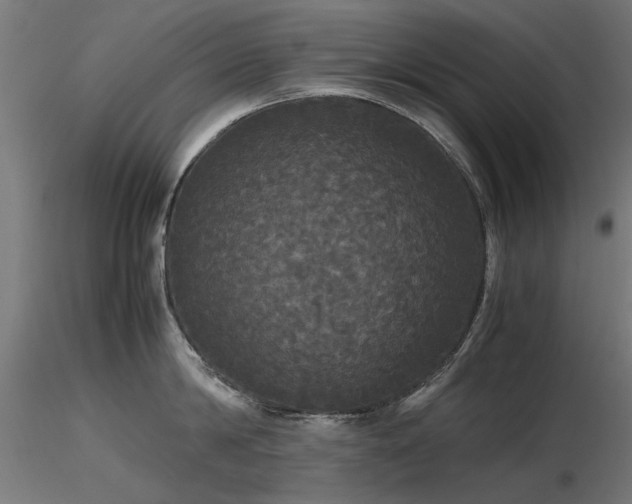 X0000116580814200912101539