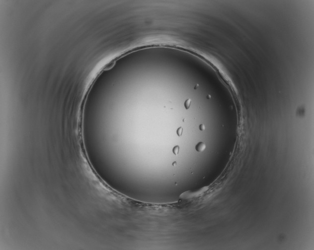 X0000116580815200912101539