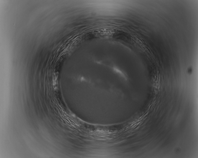 X0000116580818200912101538