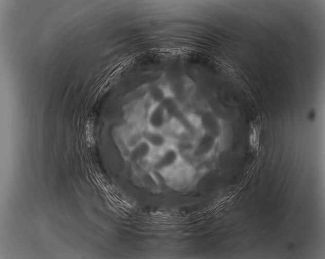 X0000116580819200912101538