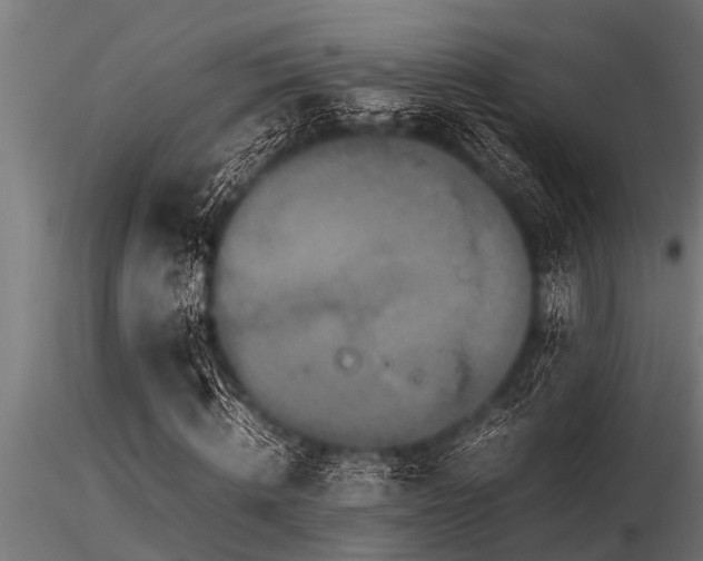 X0000116580820200912101538