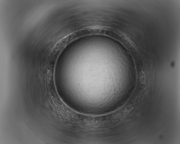 X0000116580821200912101538