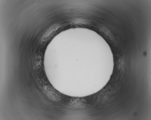 X0000116580824200912101538