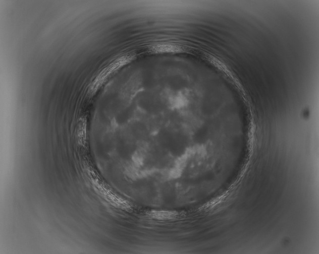 X0000116580825200912101538