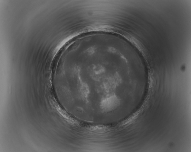 X0000116580830200912101538