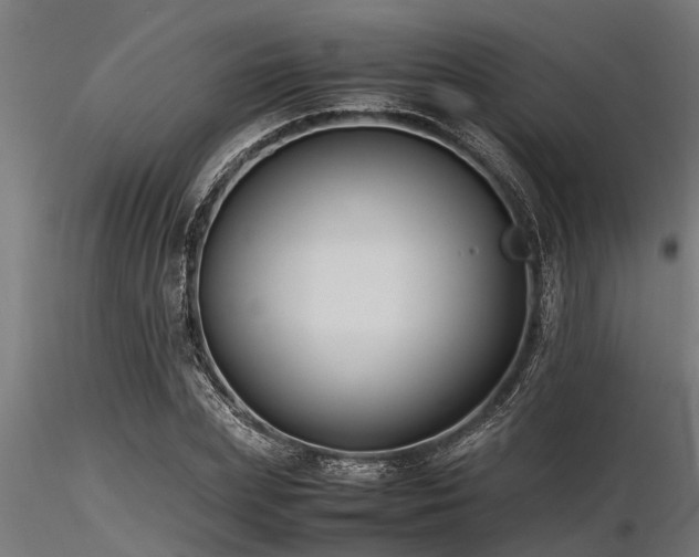 X0000116580831200912101538