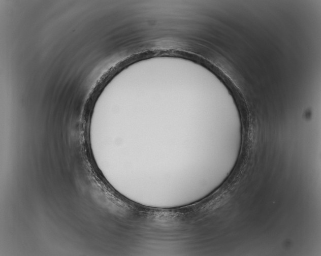 X0000116580832200912101538