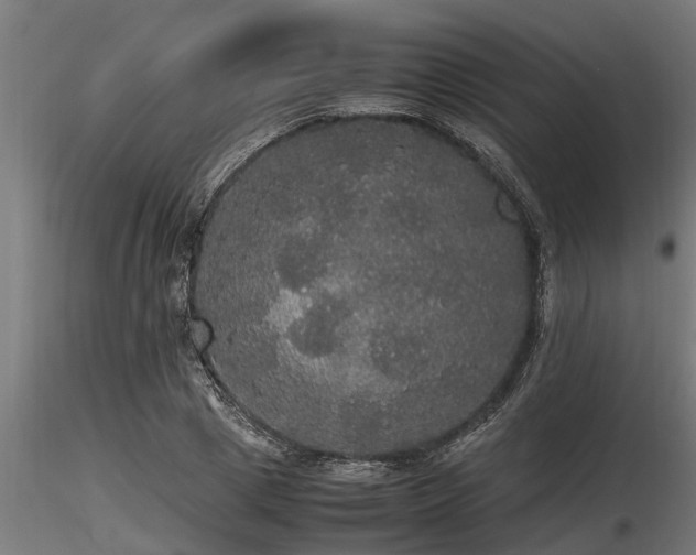 X0000116580833200912101538