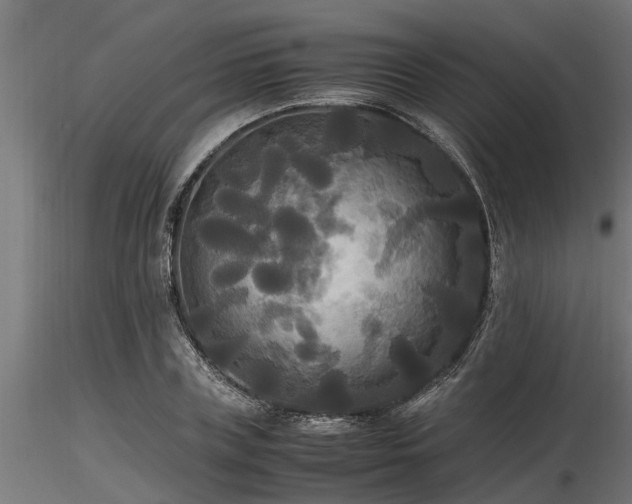 X0000116580835200912101538