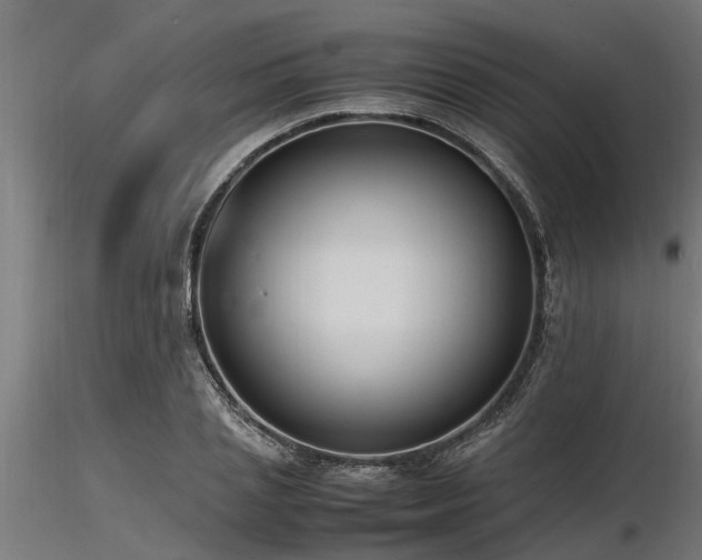 X0000116580837200912101538