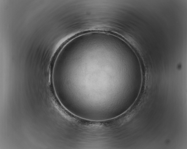 X0000116580838200912101538