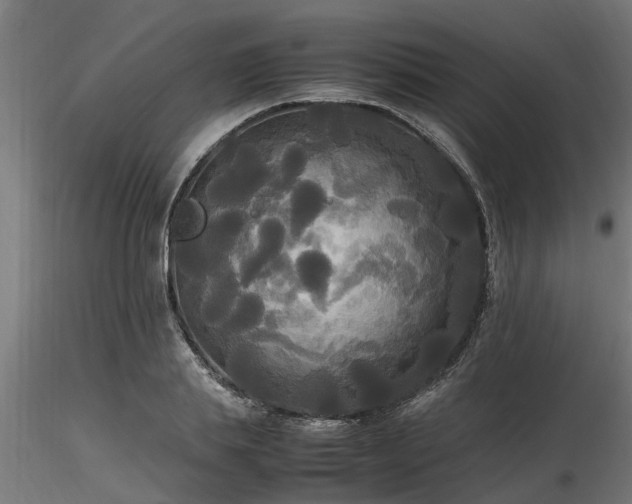 X0000116580839200912101538