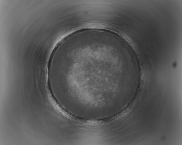 X0000116580840200912101538